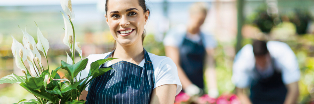 inversiones y negocios, Cartagena, préstamo, crédito